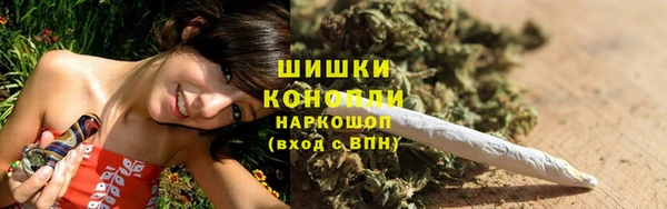 тгк Пересвет