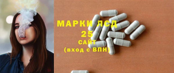 тгк Пересвет