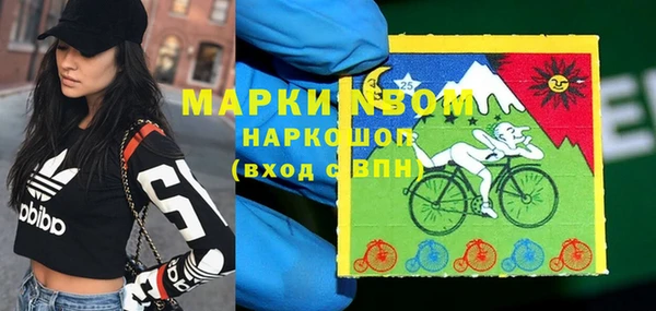 тгк Пересвет