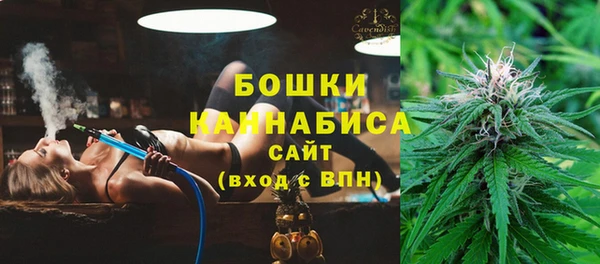 тгк Пересвет