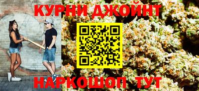 дживик Камышлов