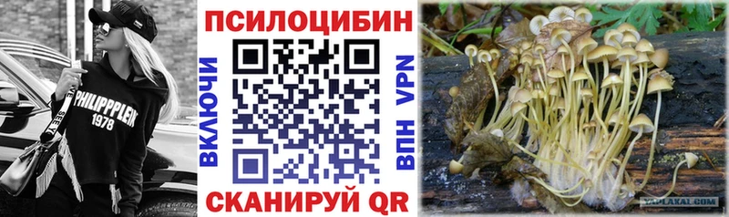 blacksprut как войти  Петрозаводск  Галлюциногенные грибы MAGIC MUSHROOMS 