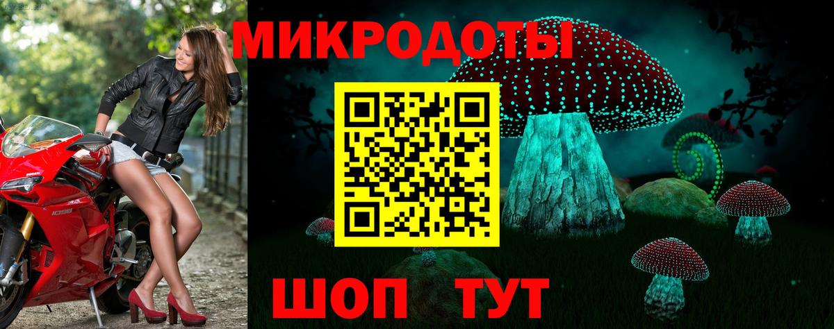 Петрозаводск  Псилоцибиновые грибы MAGIC MUSHROOMS  Галлюциногенные грибы MAGIC MUSHROOMS  Вход с VPN 