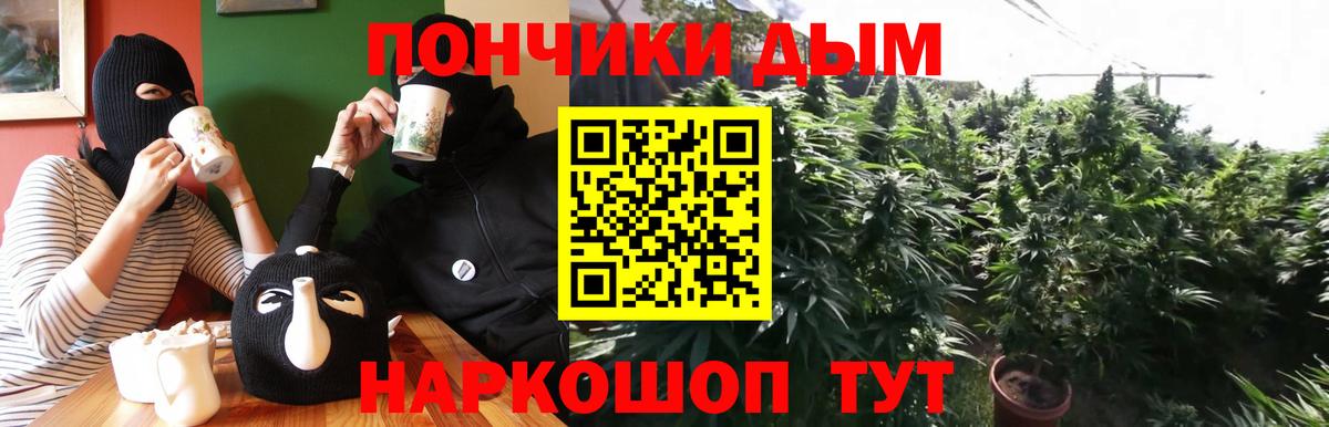 Петрозаводск  Бошки Шишки сатива  Вход с VPN  МАРИХУАНА тримм  Марихуана планчик 